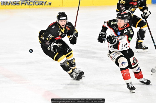 2025-02-08 Mastini Varese-Hockey Caldaro 3963 Andrea Fornasetti